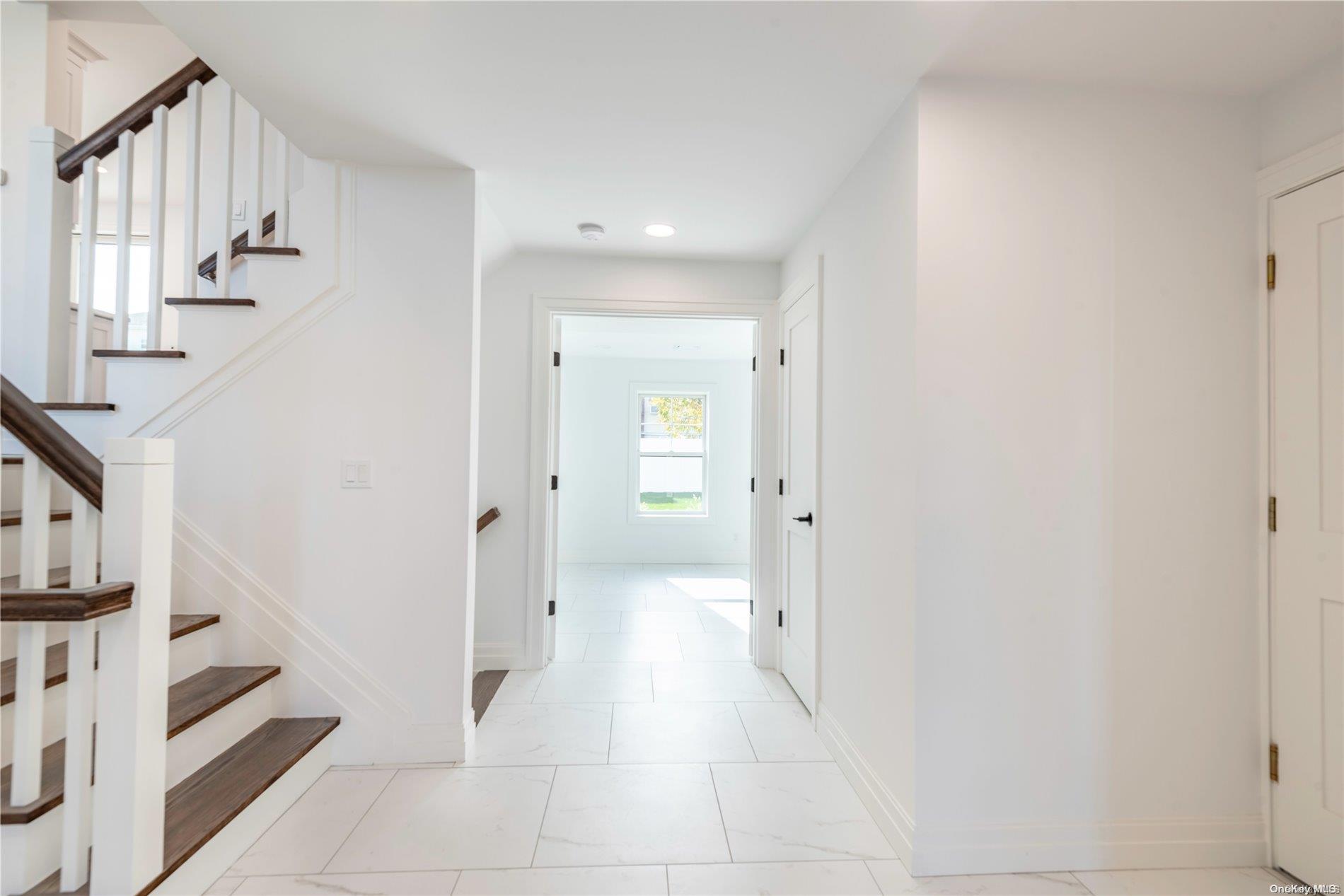 Single Family Leonard  Nassau County, NY 11566, MLS-L3590159-18