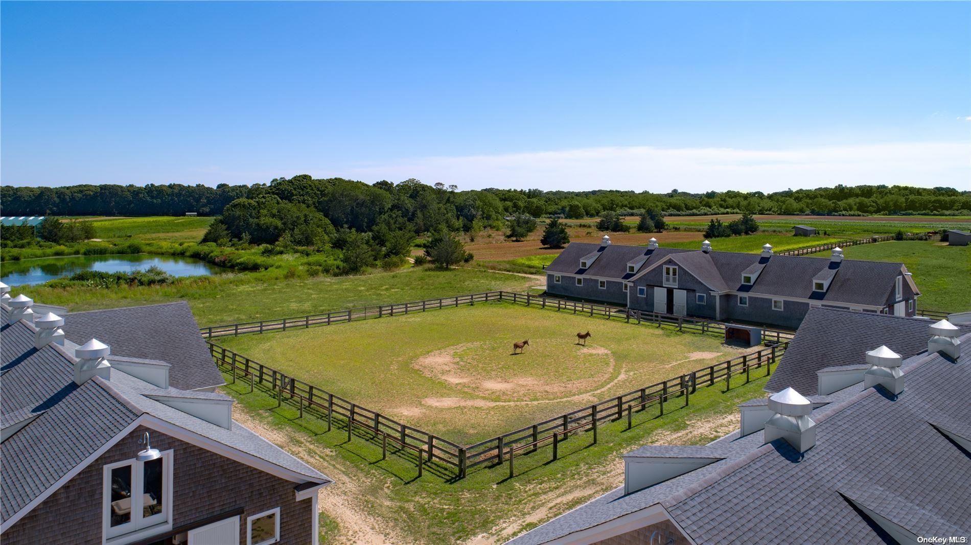 Single Family Indian Neck  Suffolk County, NY 11958, MLS-L3590171-19