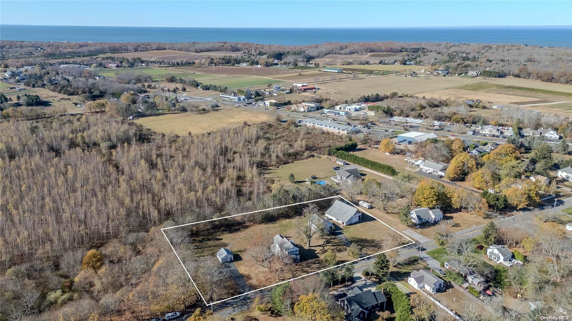Single Family Boisseau  Suffolk County, NY 11971, MLS-L3590177-37