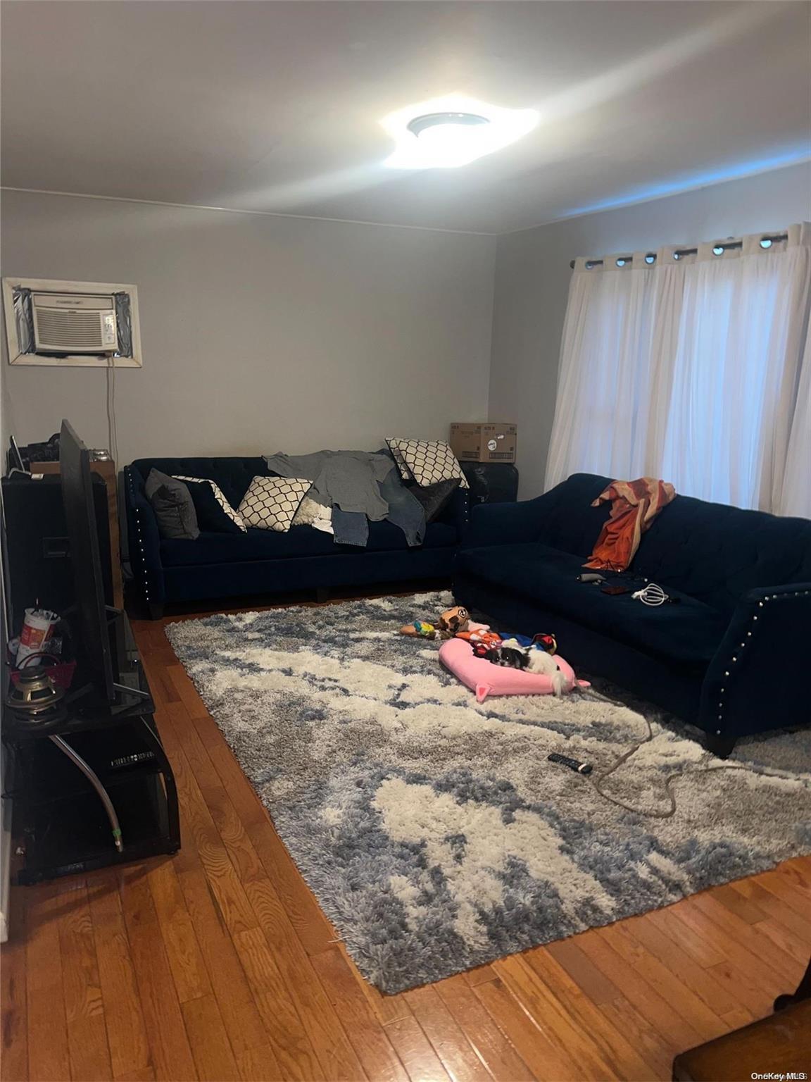 Single Family 145th  Queens, NY 11413, MLS-L3592007-13