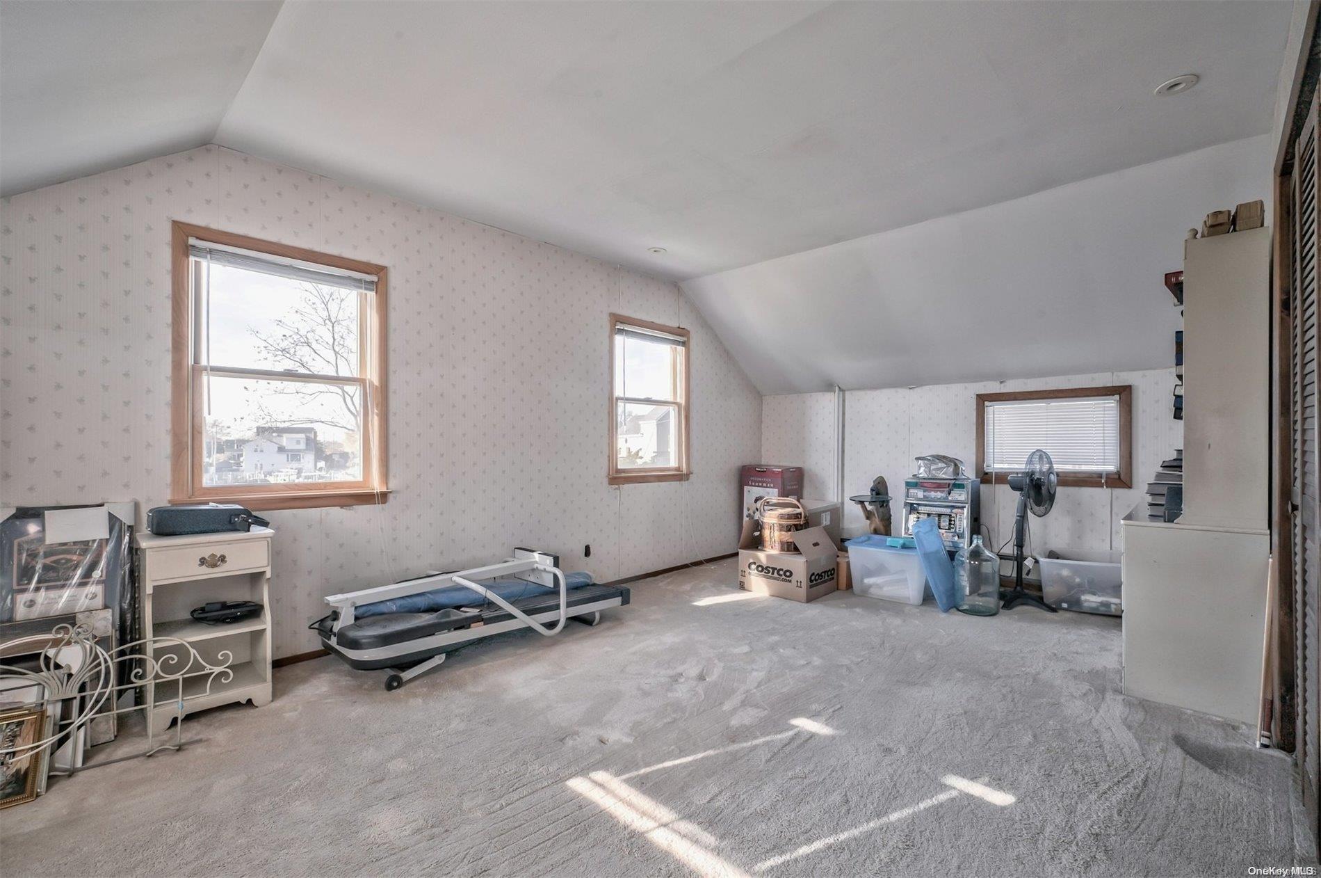 Single Family Jetmore  Nassau County, NY 11758, MLS-L3592331-20