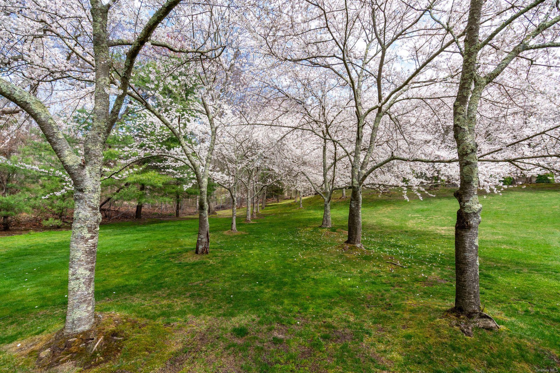 Single Family Chicken Valley  Nassau County, NY 11560, MLS-L3592389-37