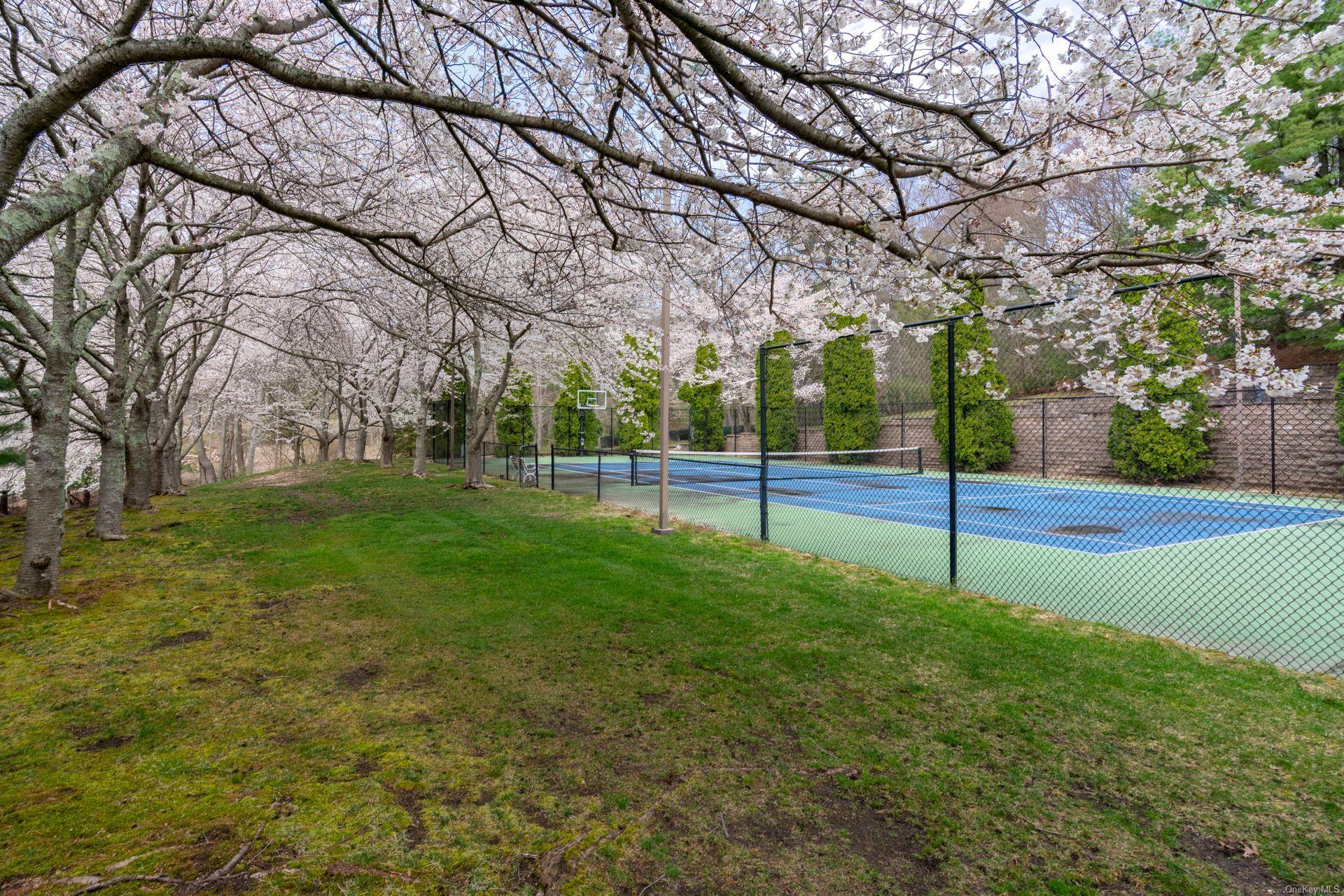 Single Family Chicken Valley  Nassau County, NY 11560, MLS-L3592389-40