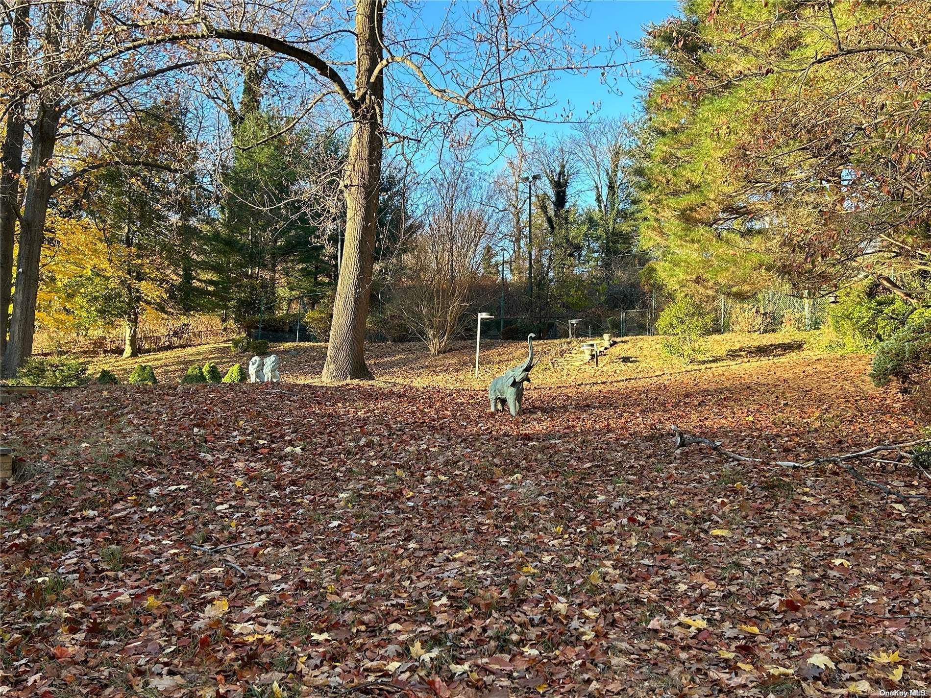 Single Family Sousa  Nassau County, NY 11050, MLS-L3593105-10