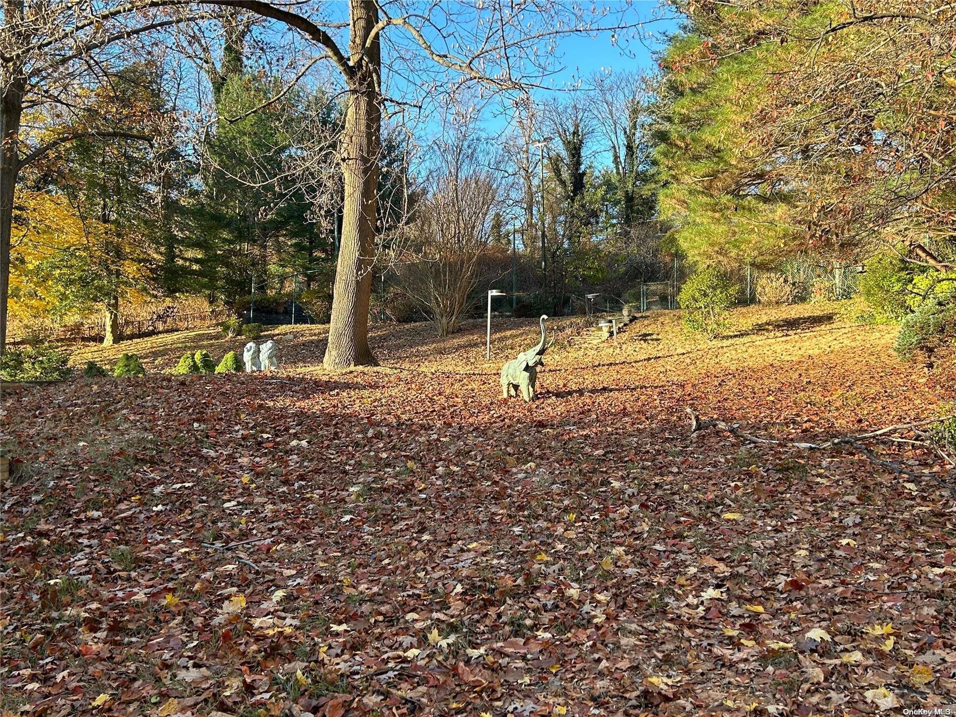 Single Family Sousa  Nassau County, NY 11050, MLS-L3593105-15