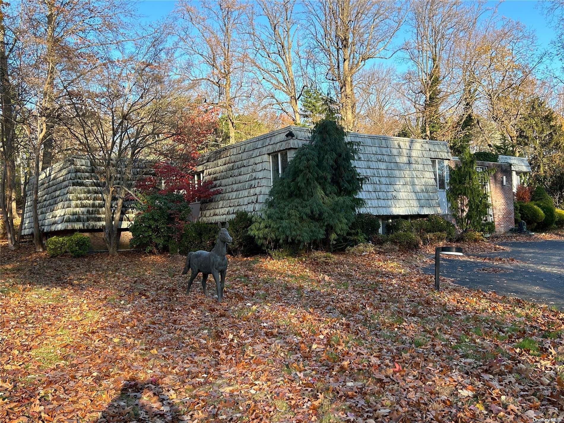 Single Family Sousa  Nassau County, NY 11050, MLS-L3593105-2