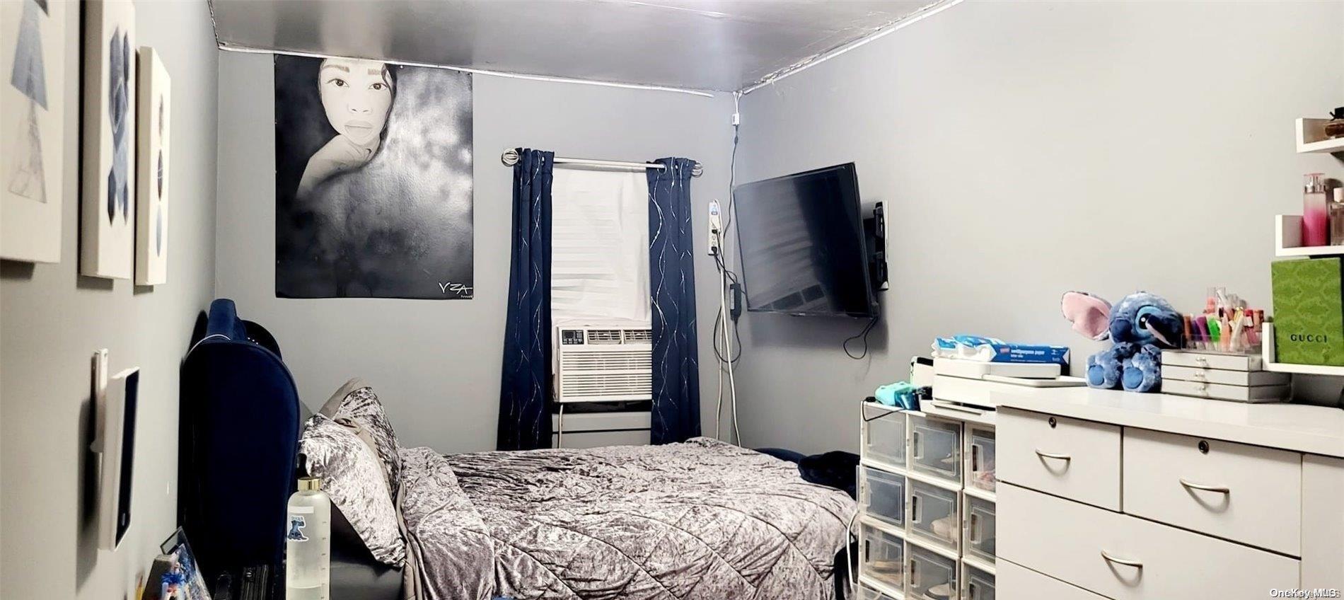 Single Family Ashford  Brooklyn, NY 11207, MLS-L3593525-8