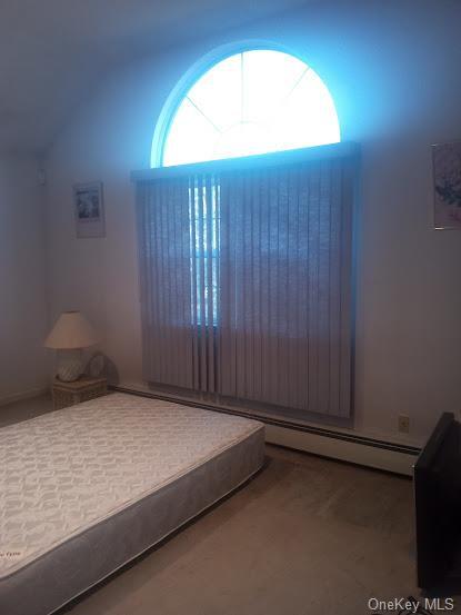 Single Family Margin  Suffolk County, NY 11967, MLS-L3593847-43