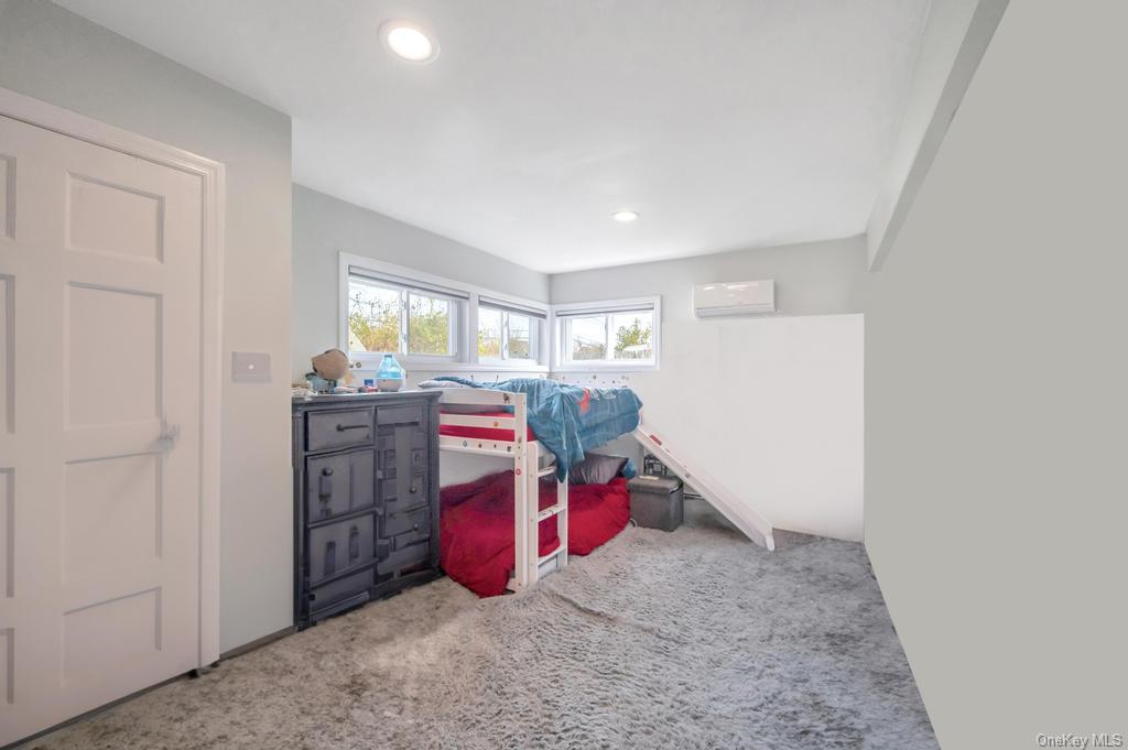 Single Family Berry  Nassau County, NY 11801, MLS-LP1430469-22