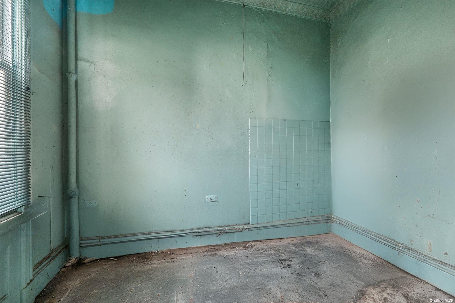 Single Family Cooper  Brooklyn, NY 11207, MLS-LP1438029-8