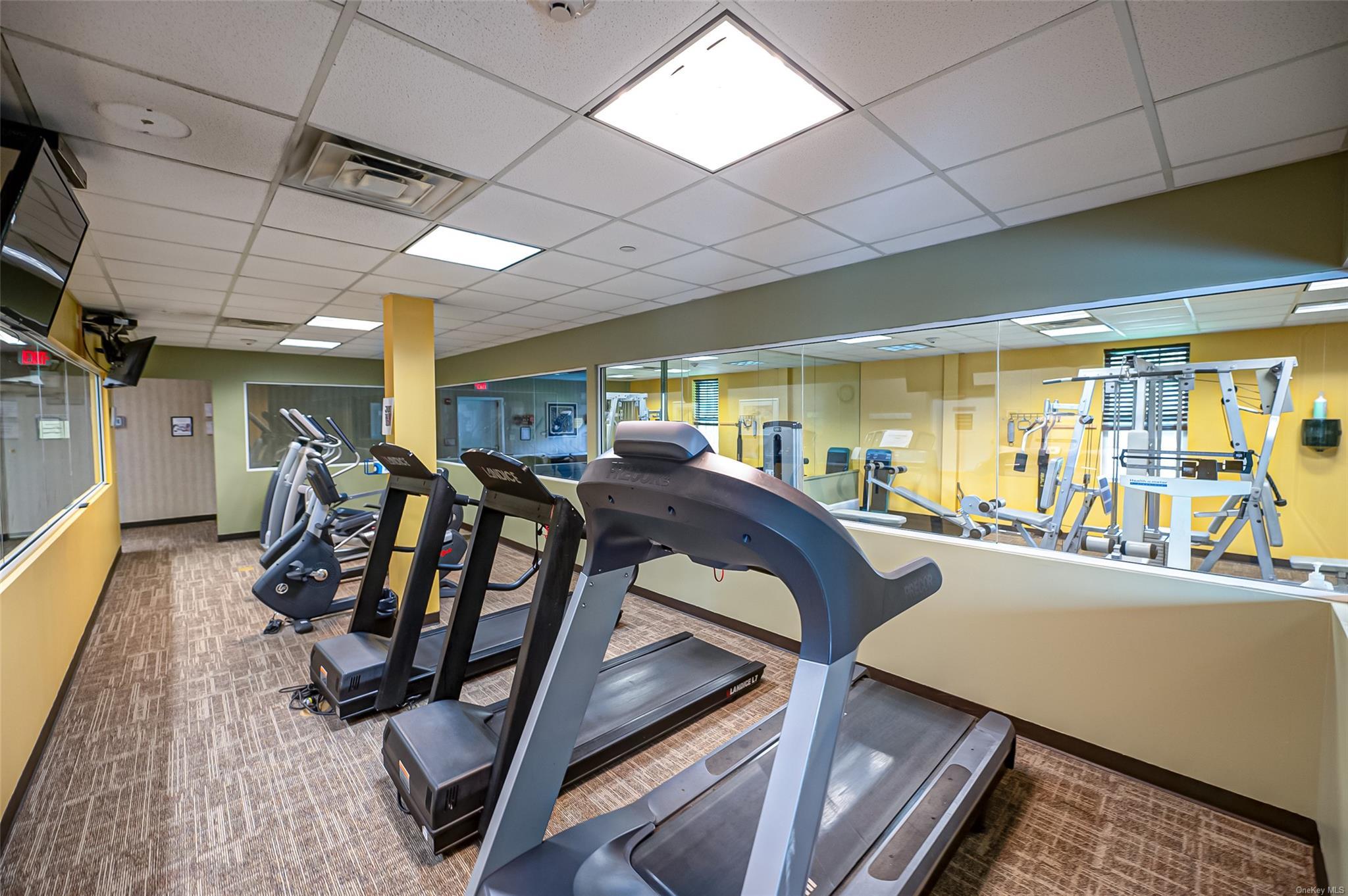 Condo Spring Lake  Suffolk County, NY 11953, MLS-LP1439254-17