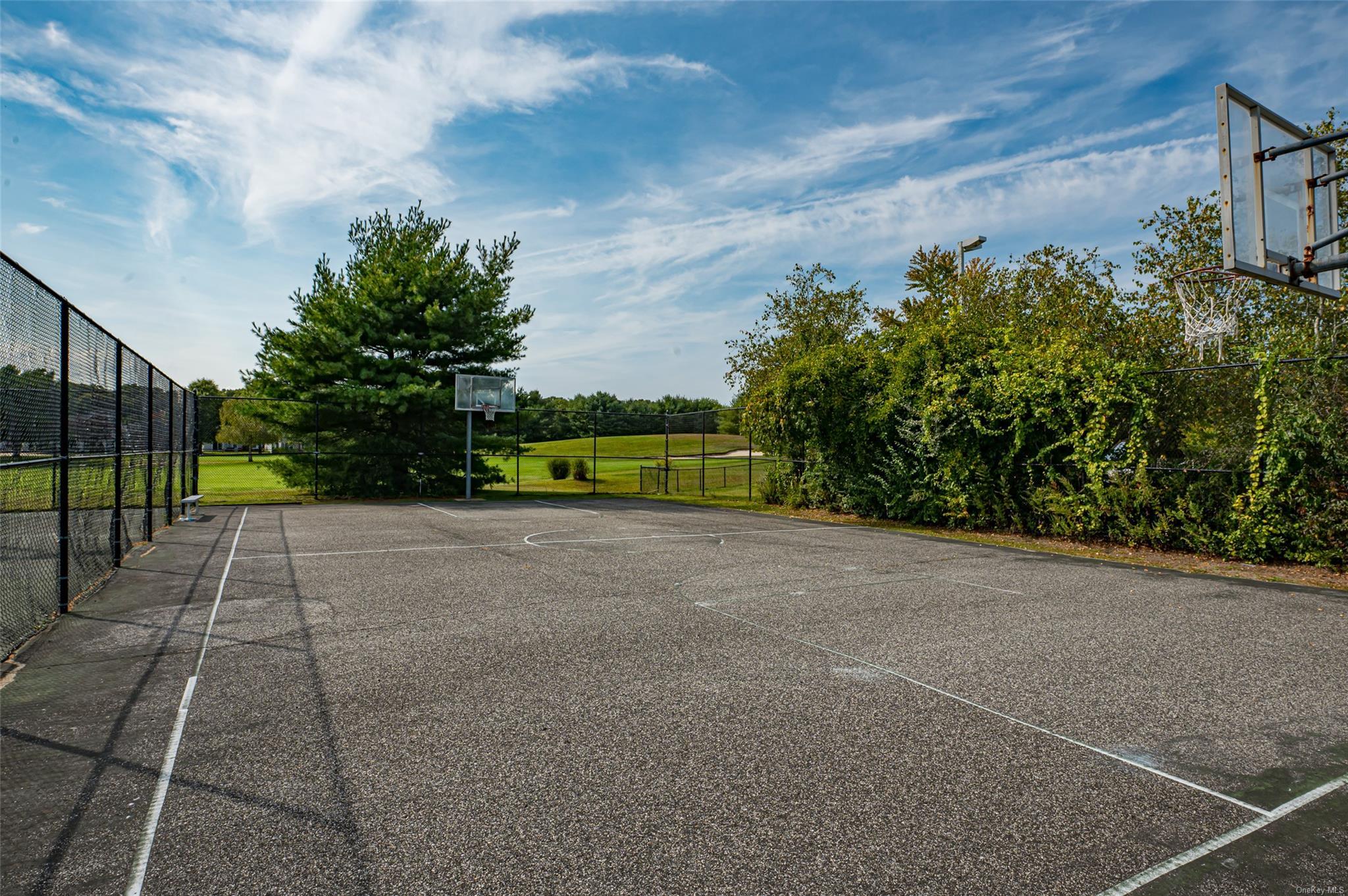 Condo Spring Lake  Suffolk County, NY 11953, MLS-LP1439254-34